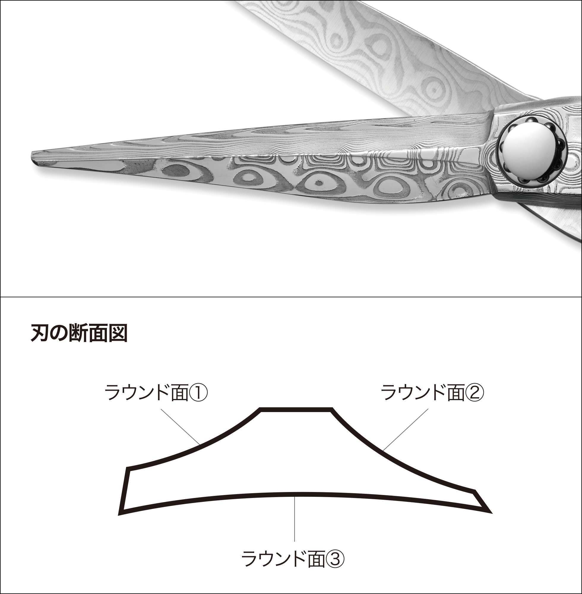 NEW DAMA D-07 | ミズタニシザーズ