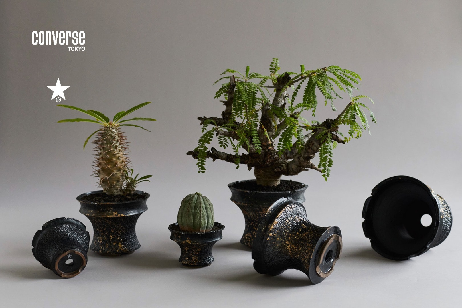 F*0様 invisible ink SRL trunk market陶器植木鉢 F*0様 invisible ink