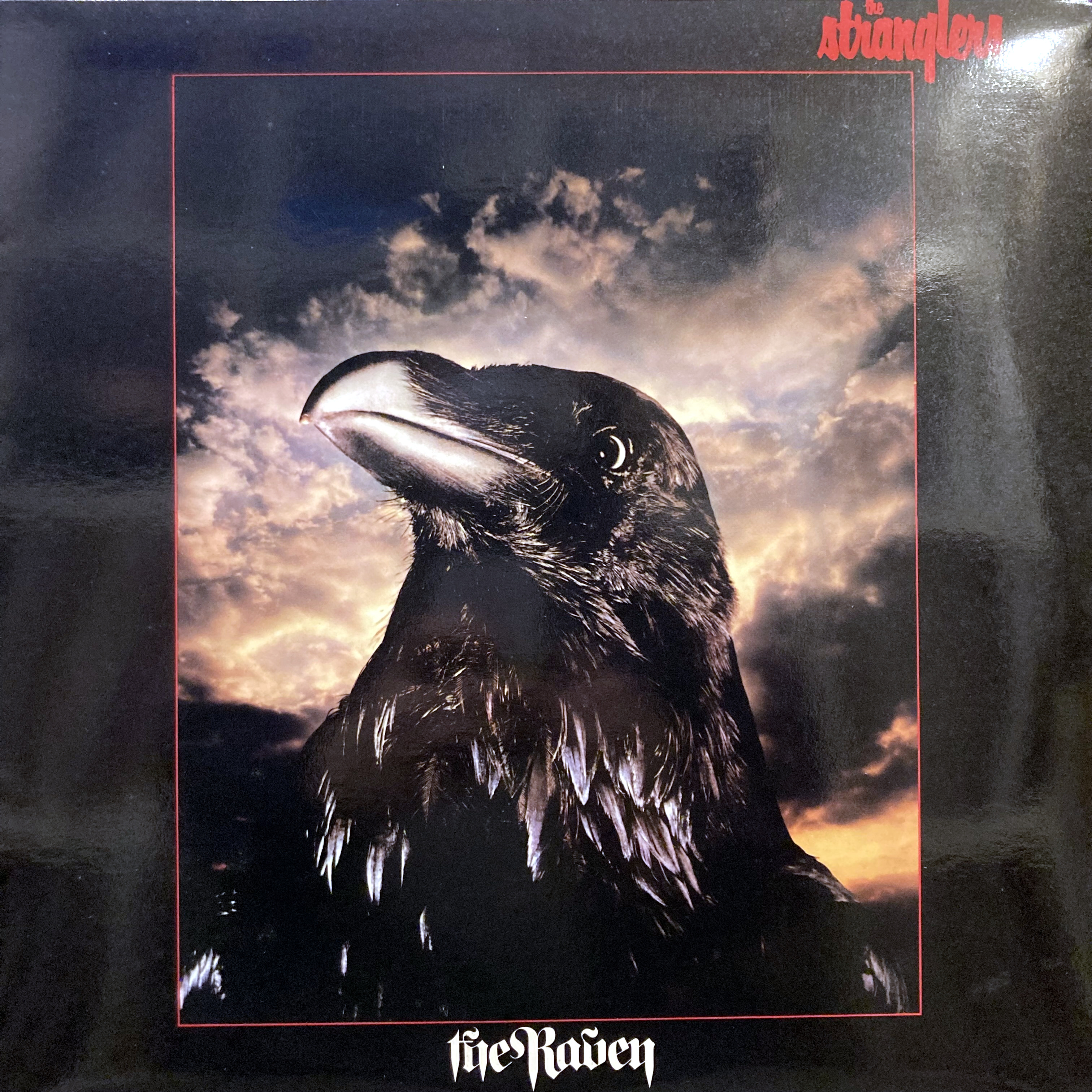 COCONUTS DISK WEBSTORE / ストラングラーズ (The Stranglers