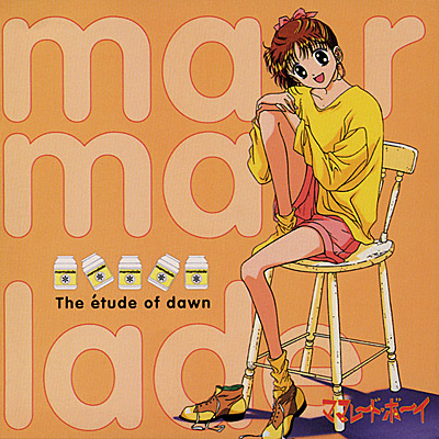 ANIMEX1200シリーズ Special[17]ママレード・ボーイ Vol．6 神様がいて