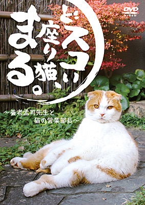 どスコい座り猫、まる。〜養老孟司先生と猫の営業部長 | 商品情報