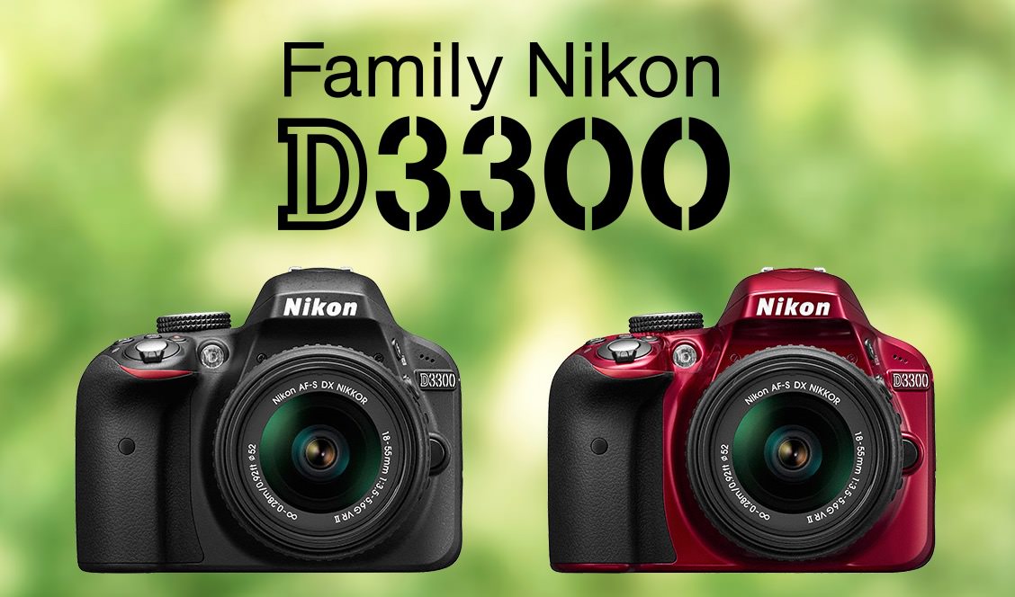 ニコンD3300と一緒に欲しいおすすめレンズ3選。 - 宙うさぎの旅路