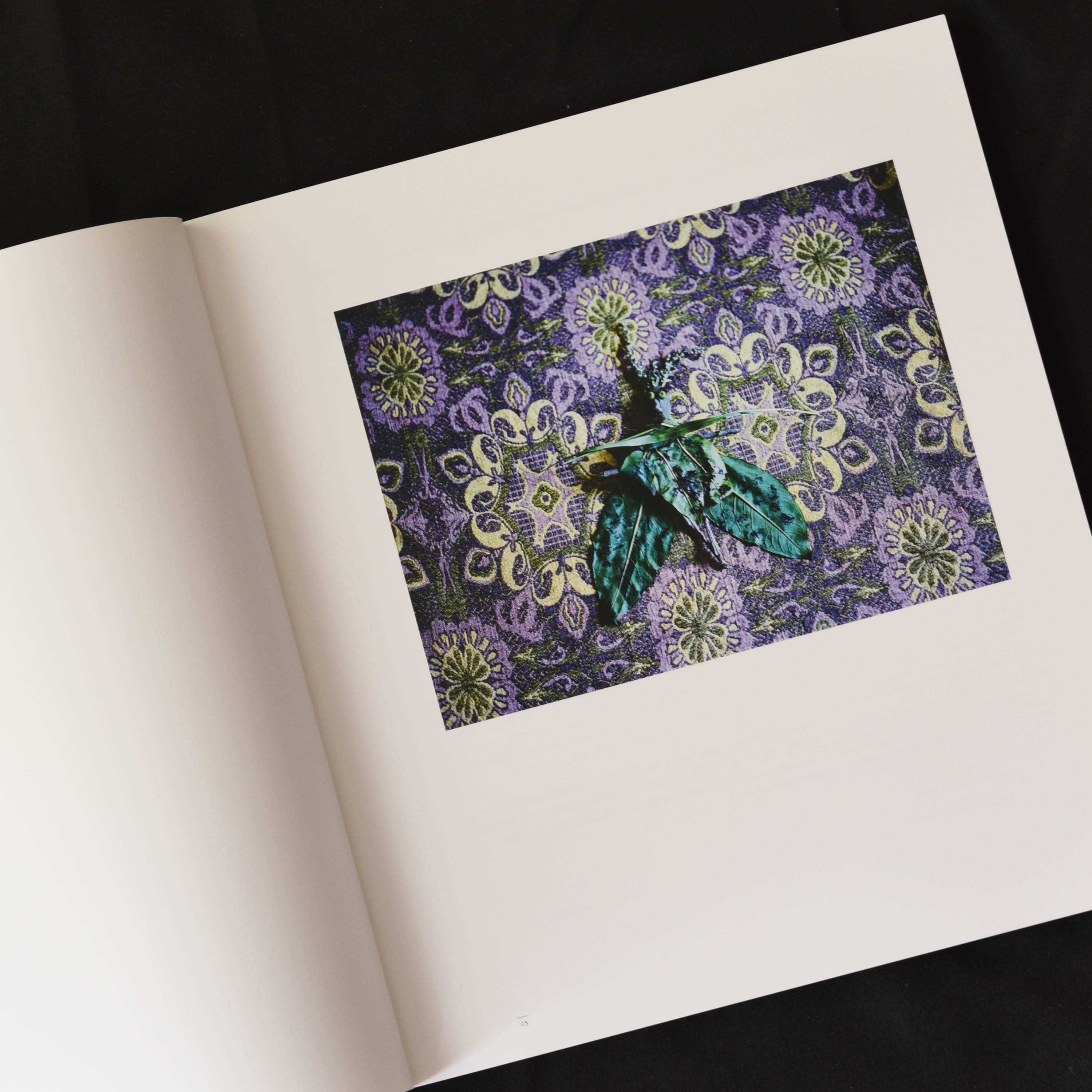 本 :: アート写真集 :: We are Made of Grass, Soil, and Trees / 山元