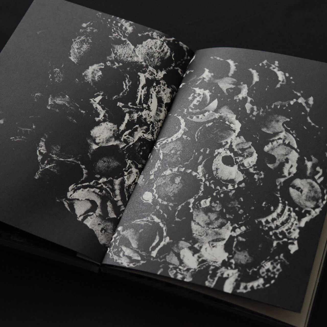 本 :: アート写真集 :: 地図 - 川田喜久治写真集 (2005年復刻版