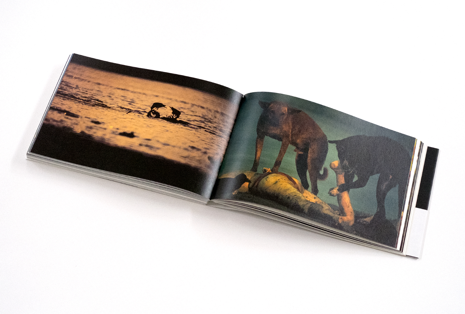 藤原新也写真集『祈り』 | 株式会社クレヴィス