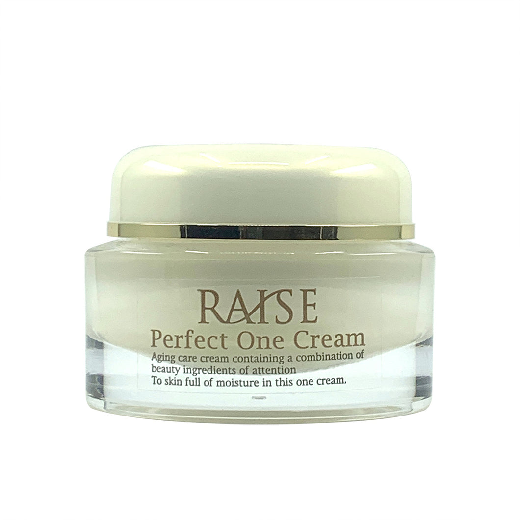 RAISE レイズ パーフェクトワンクリーム – CuTis Cosmetics
