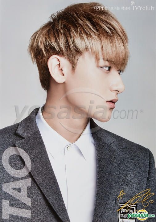 YESASIA : EXO - IVYclub Poster in Tube (Tao) ギフト,Celebrity