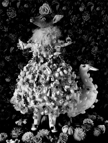 Michiko KON - 今道子 | shashasha - Photography & art in books