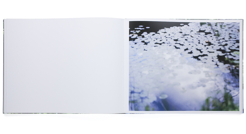 Water Mirror - 鈴木理策 | shashasha 写々者 - 写真集とアートブック