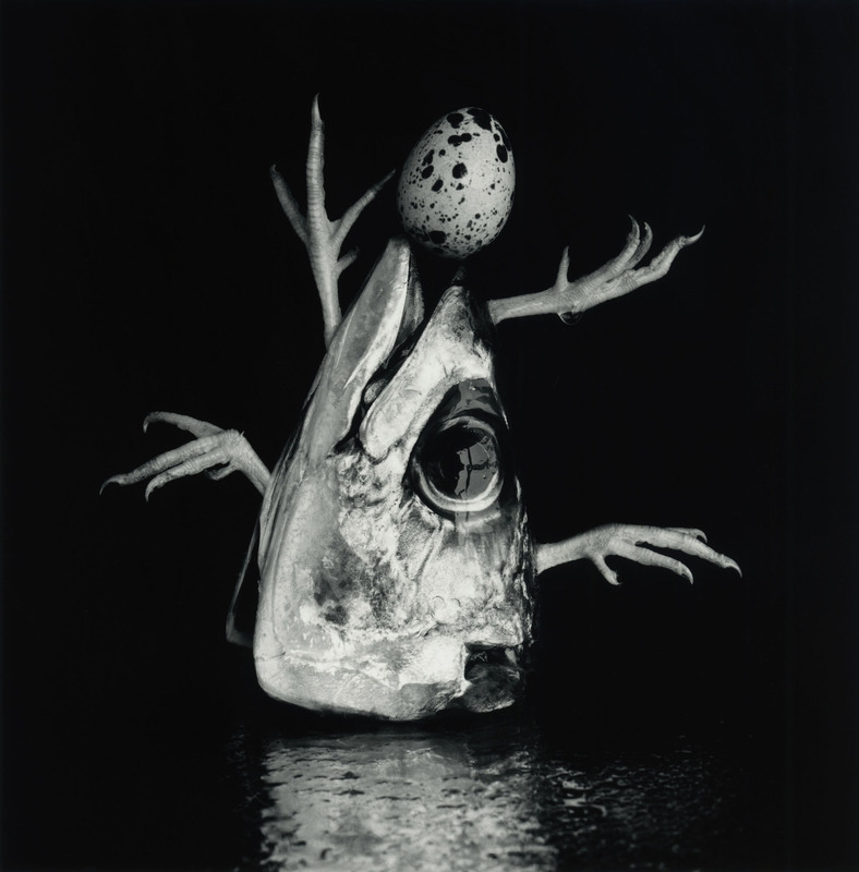 Michiko KON - 今道子 | shashasha - Photography & art in books