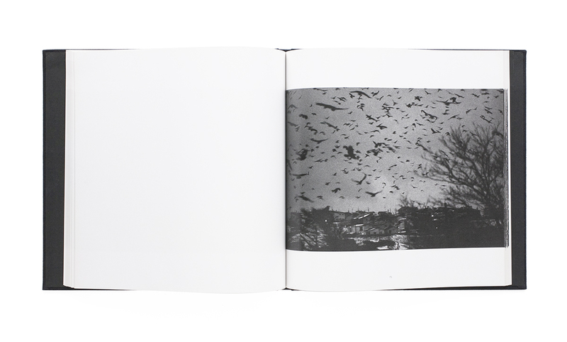 鴉（初版） - 深瀬昌久 | shashasha 写々者 - 写真集とアートブック