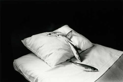 Michiko KON - 今道子 | shashasha - Photography & art in books