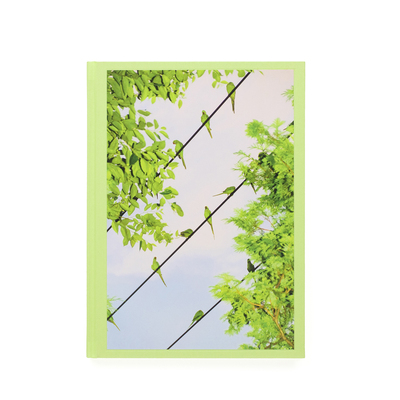 COLORS - 水谷吉法 | shashasha 写々者 - 写真集とアートブック