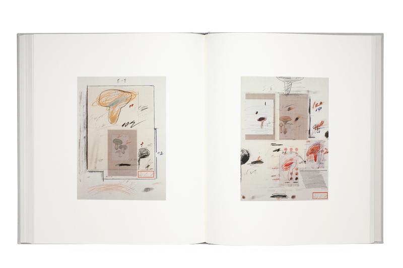 サイ・トゥオンブリーの写真 －変奏のリリシズム－ - サイ