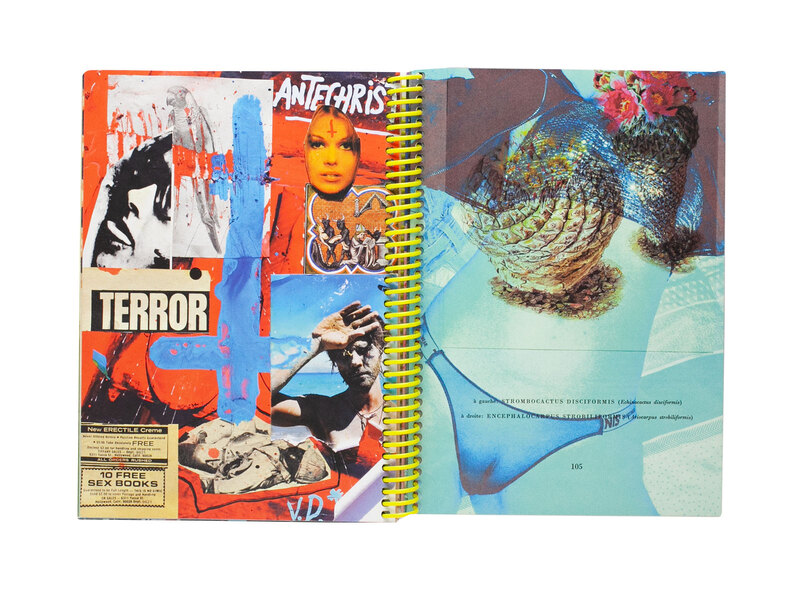 プリント2枚付き、サイン入り】Vincent Delbrouck プリント2枚付き