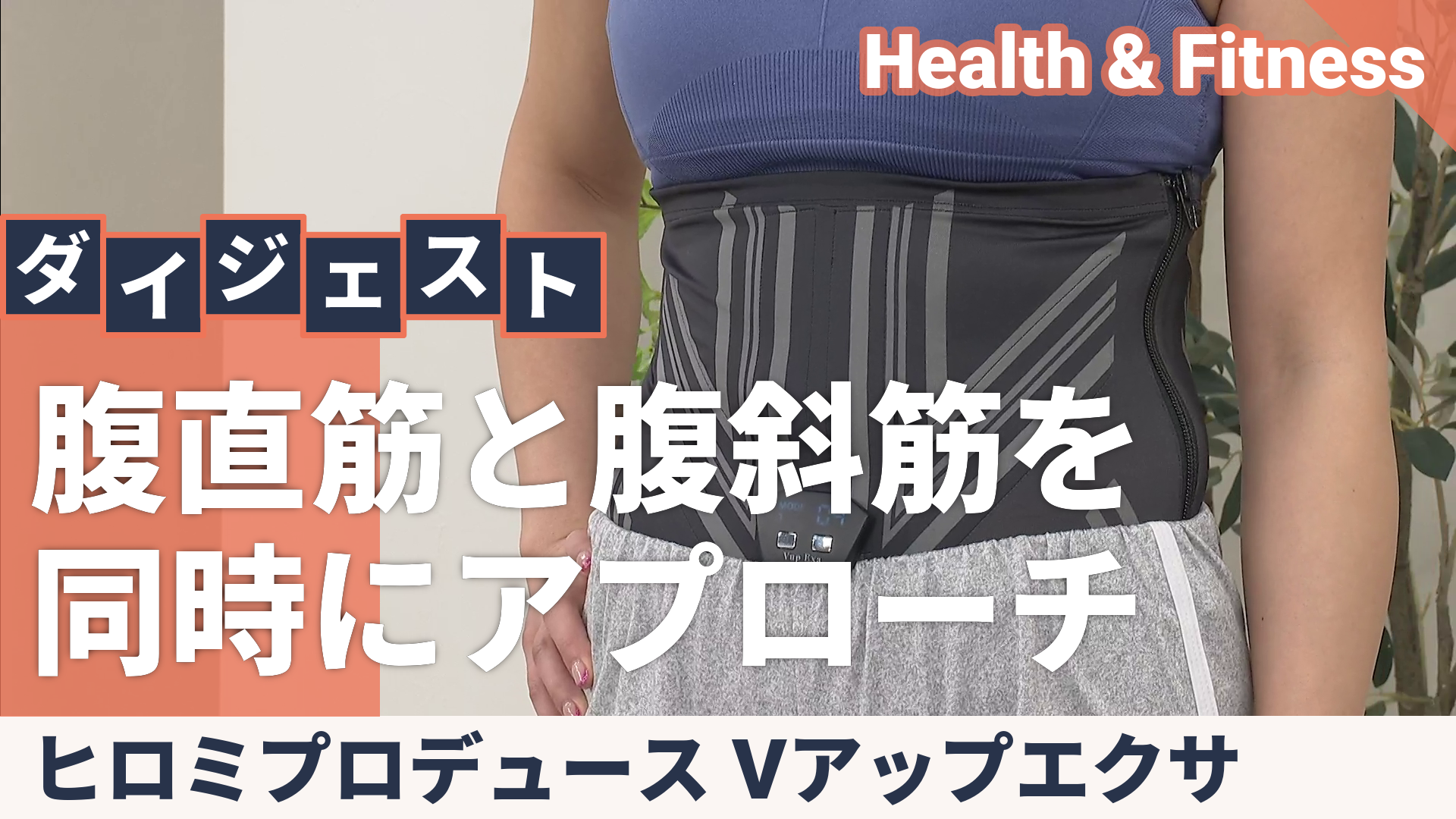 Vアップエクサ LLサイズ 今 お得！】＜ヒロミプロデュース＞ Vアップ