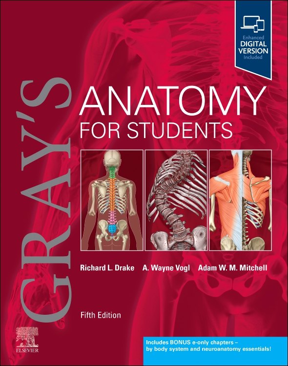 Gray's Anatomy for Students, 5th ed.: 洋書／南江堂