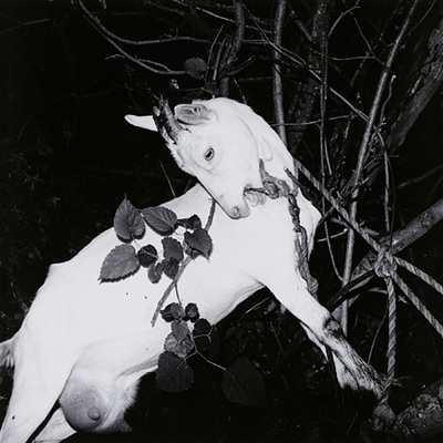 走馬灯のようにー釜ヶ崎2000・2014 - 須田一政 | ZEN FOTO GALLERY