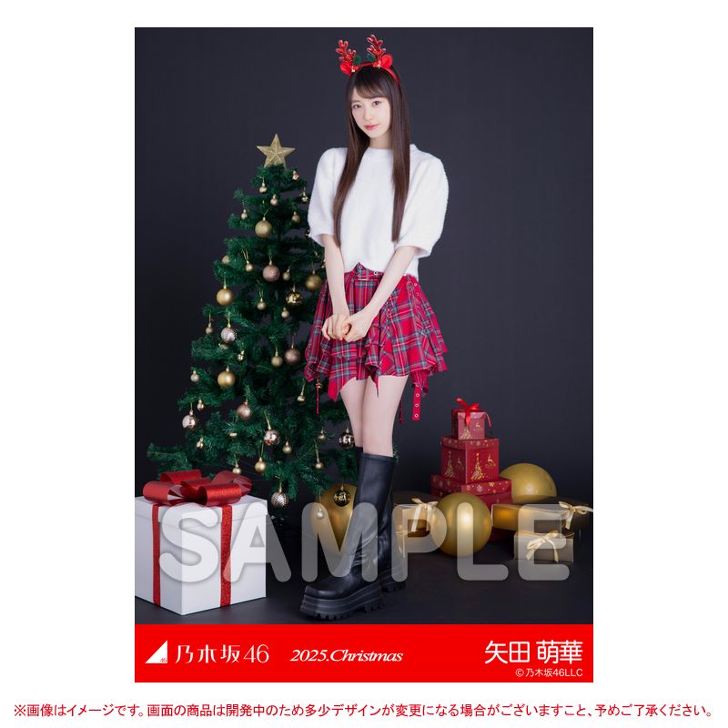 乃木坂46 OFFICIAL WEB SHOP | 乃木坂46 グッズ通販サイト