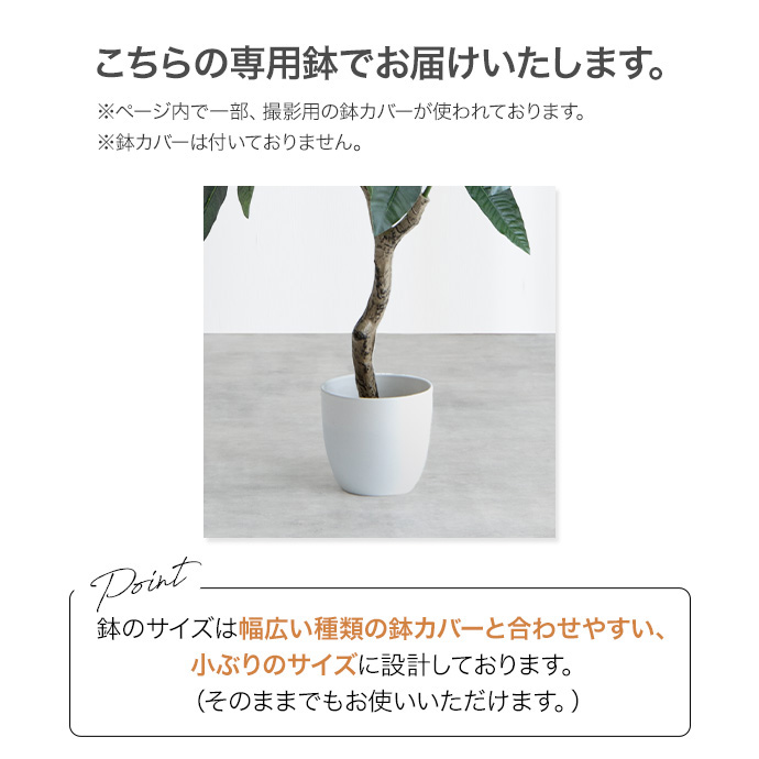 g162013]【高さ150cm】Nature 光触媒人工観葉植物 パキラ 観葉植物