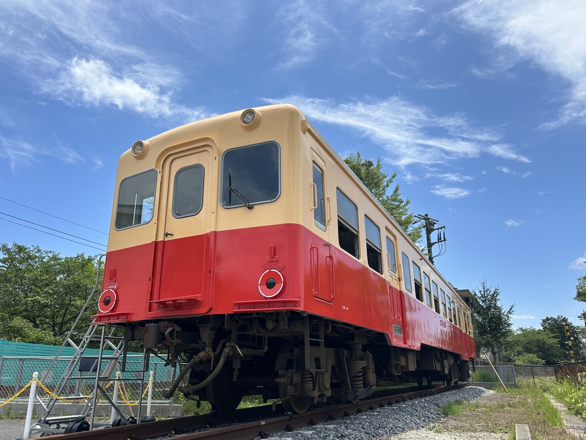 列車の旅 のんびり 旅列車(小湊鉄道) 500ピース ジグソーパズル 列車の