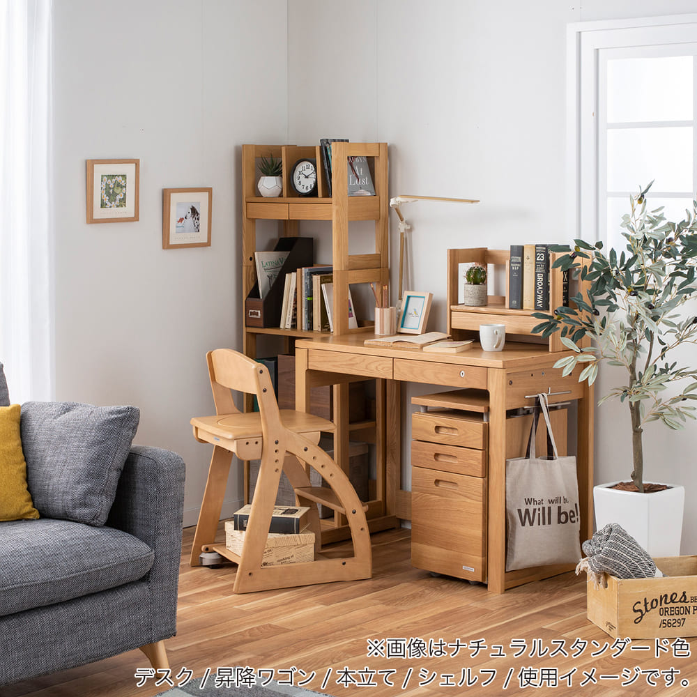 コイズミ] スリムワゴン ビーノ BEENO BDW－066 NS(NS): 学習