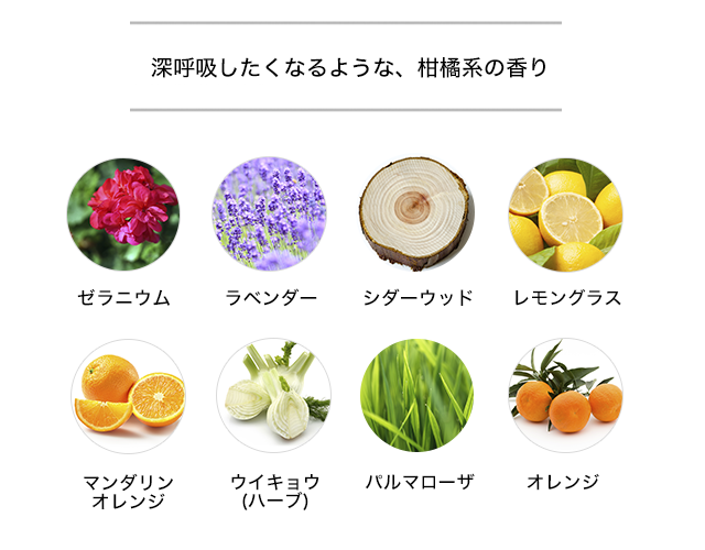 どろあわわ 無添加洗顔料