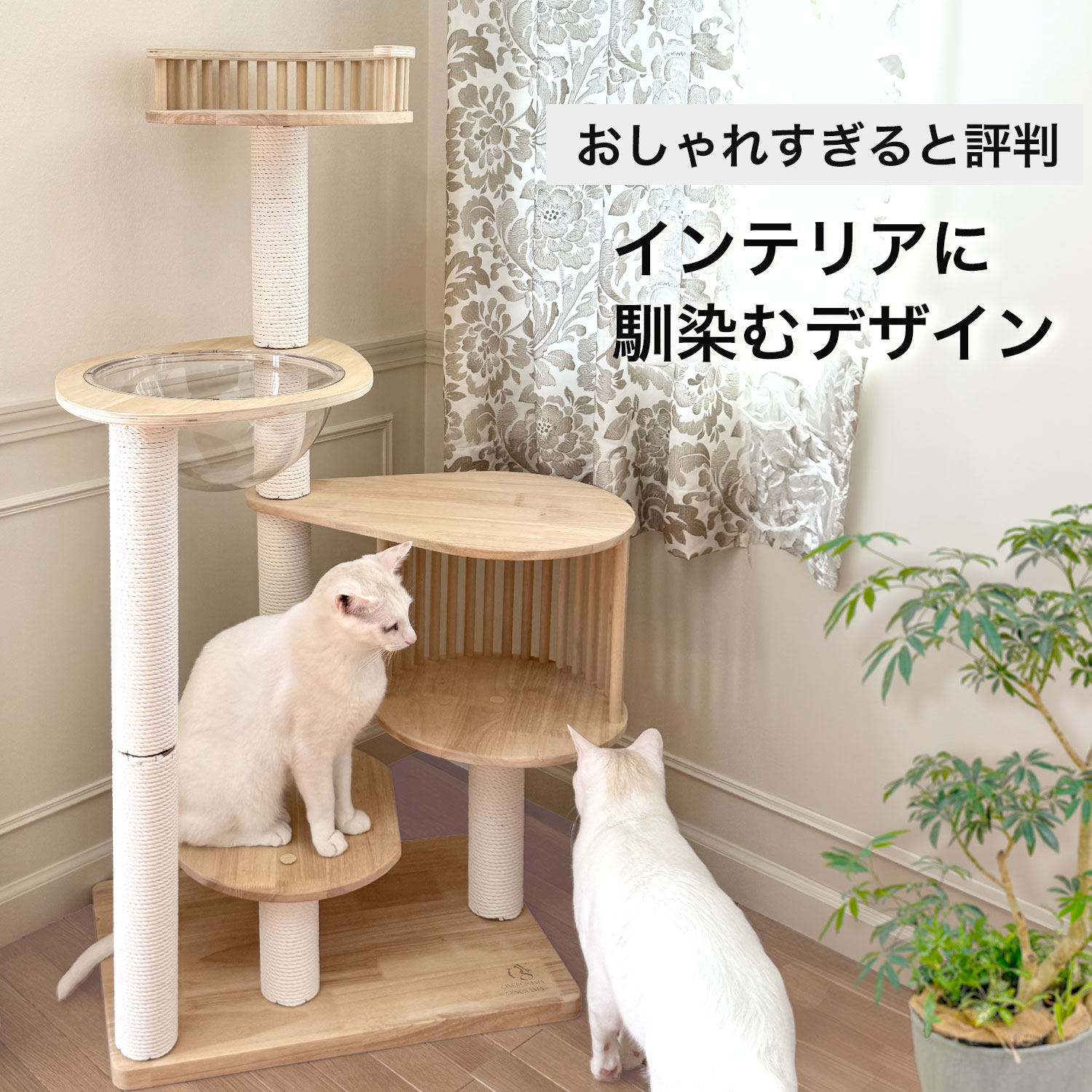 ねこマンモス様 オーダー受付 ねこマンモス様 オーダー受付 🐍イーグル