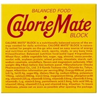 カロリーメイト ブロック チョコレート味｜【大塚製薬の公式通販