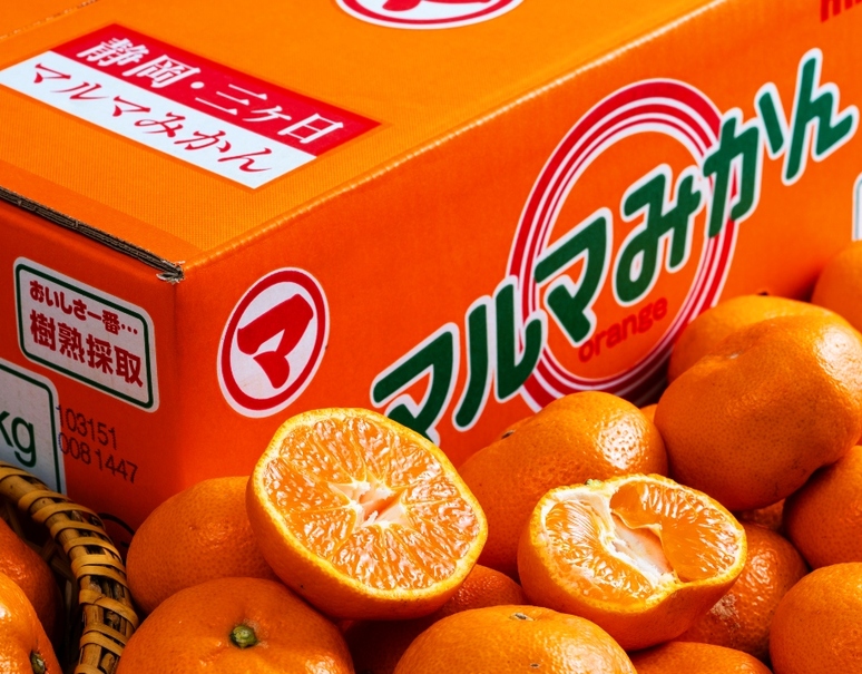 三ヶ日マルマ「樹熟 特選みかん（品種：青島）」静岡県産 L〜2L 約5kg