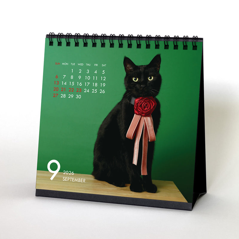 2026年 カレンダーセット CAT ｜DADACA Online Store