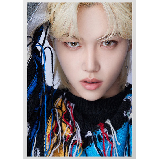 DICON D'FESTA STRAY KIDS FELIX version] | kokode books | [DICON D