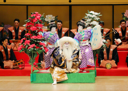 株式会社日本舞踊かつら｜EPAD｜作品データベース