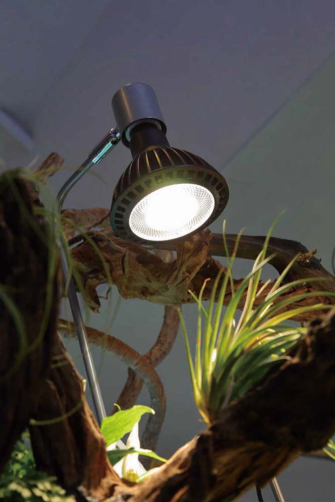 いきもの電球」24日発売、京セラ 植物や魚の育成・鑑賞用LED | 電波