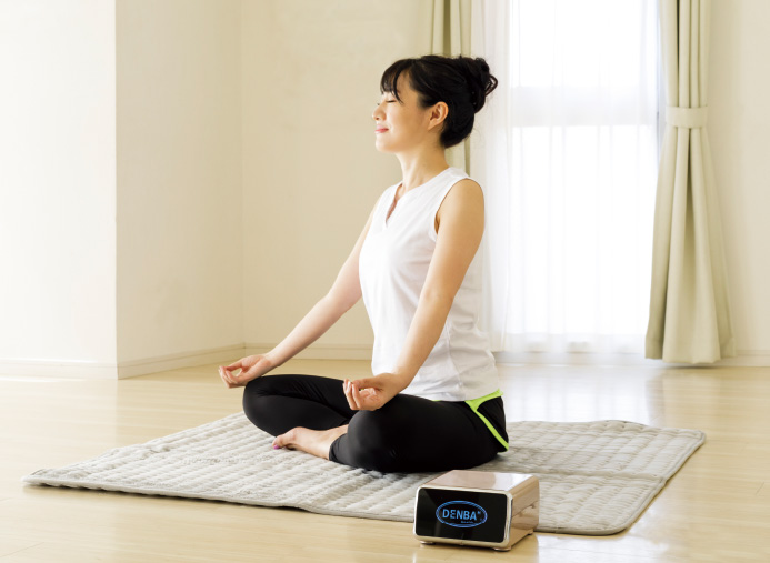 DENBAHealthハイグレード製品ページ | DENBA公式一次販売店