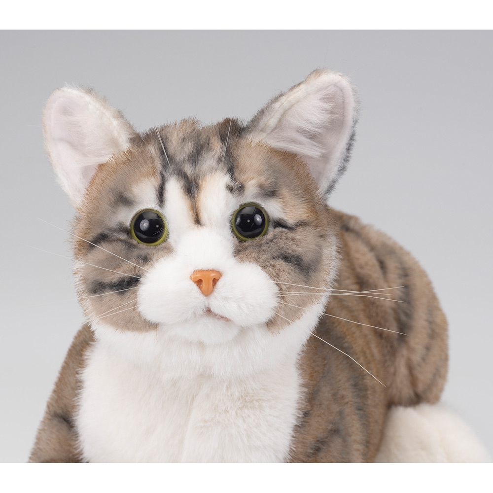 なでなでねこちゃんEX キジトラちゃん | デアゴスティーニ公式