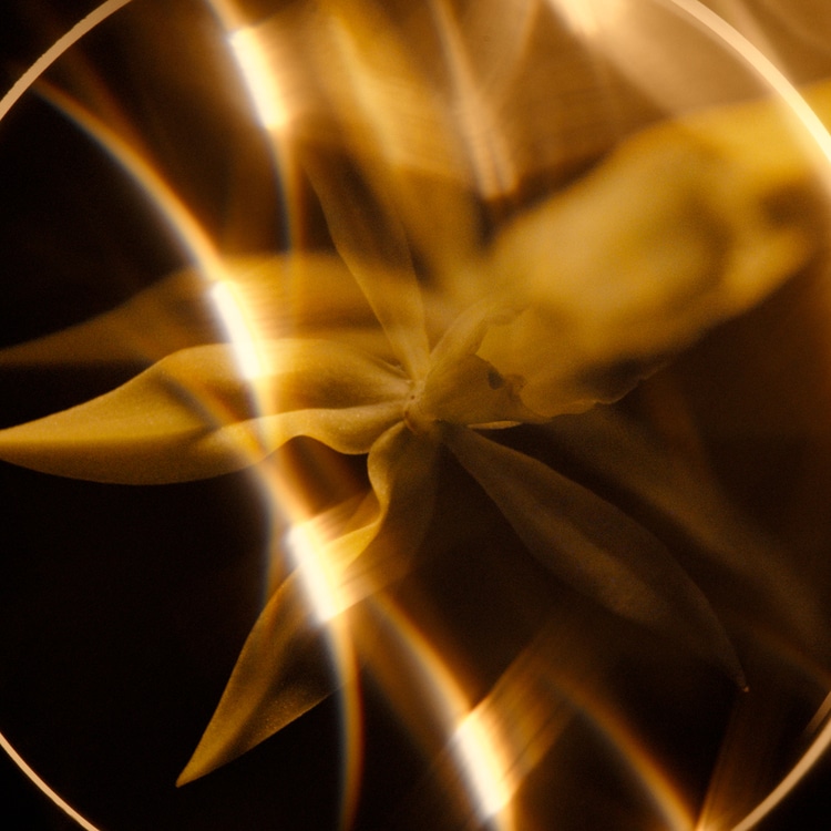 サブリマージュ ル マスク:CHANEL(シャネル)の通販｜DEPACO 大丸