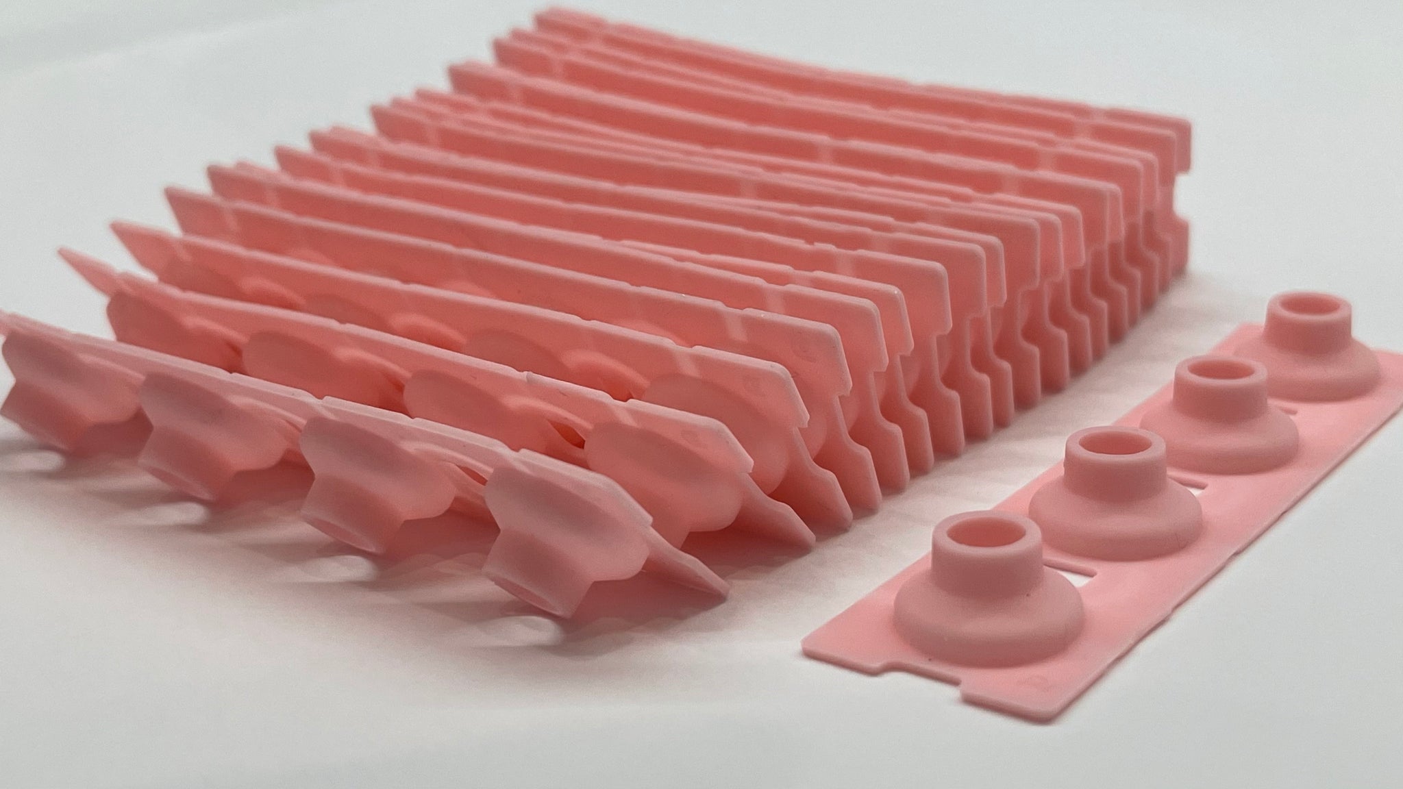 IMG_0797_2048x.jpg?v=1615955862