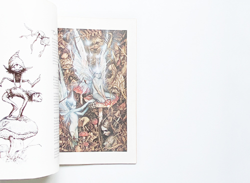 古書古本 dessin：Faeries（ブライアン・フロウド, アラン・リー, A