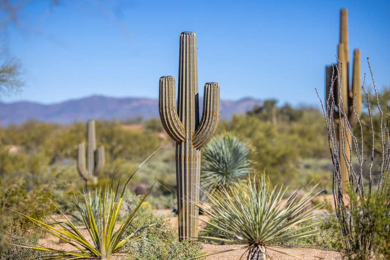Metal Saguaro Cactus | Landscape Yard Art | Desert Steel