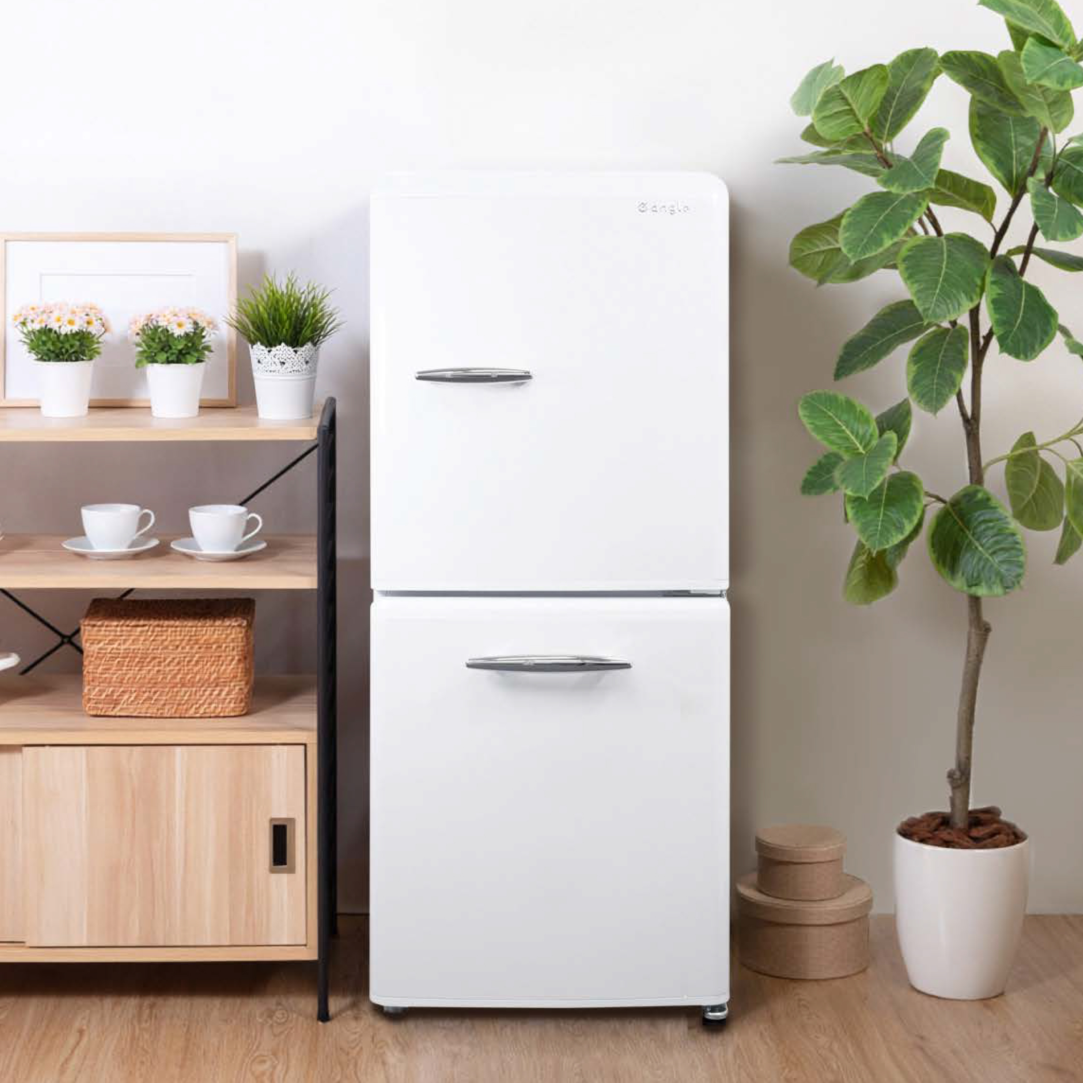 e angle 静かで省エネな冷蔵庫が登場 | Digital PR Platform | 沖縄