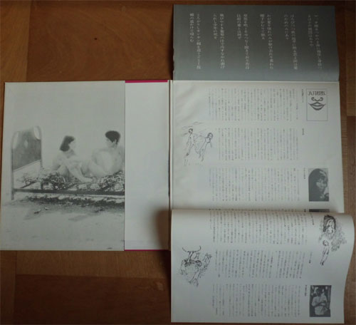 VA (寺山修司、小椋桂、カルメン・マキ、クレイジー・ボーイズ etc