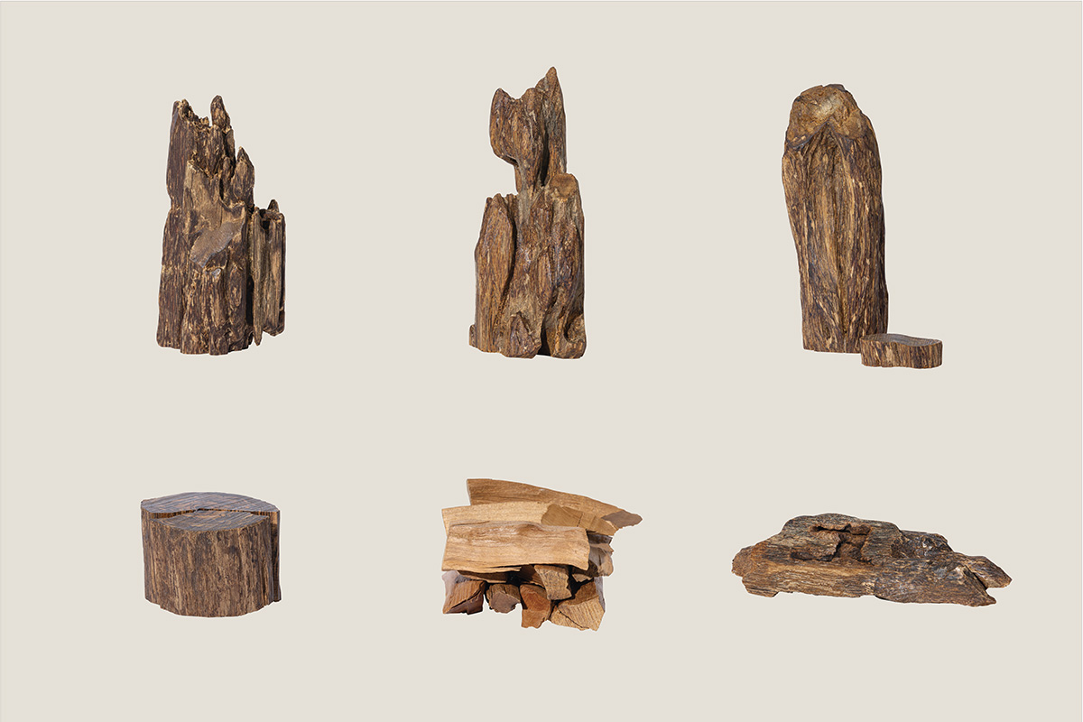 香木（こうぼく）」お香のもととなる伝統的な素材｜日本の香りの素材