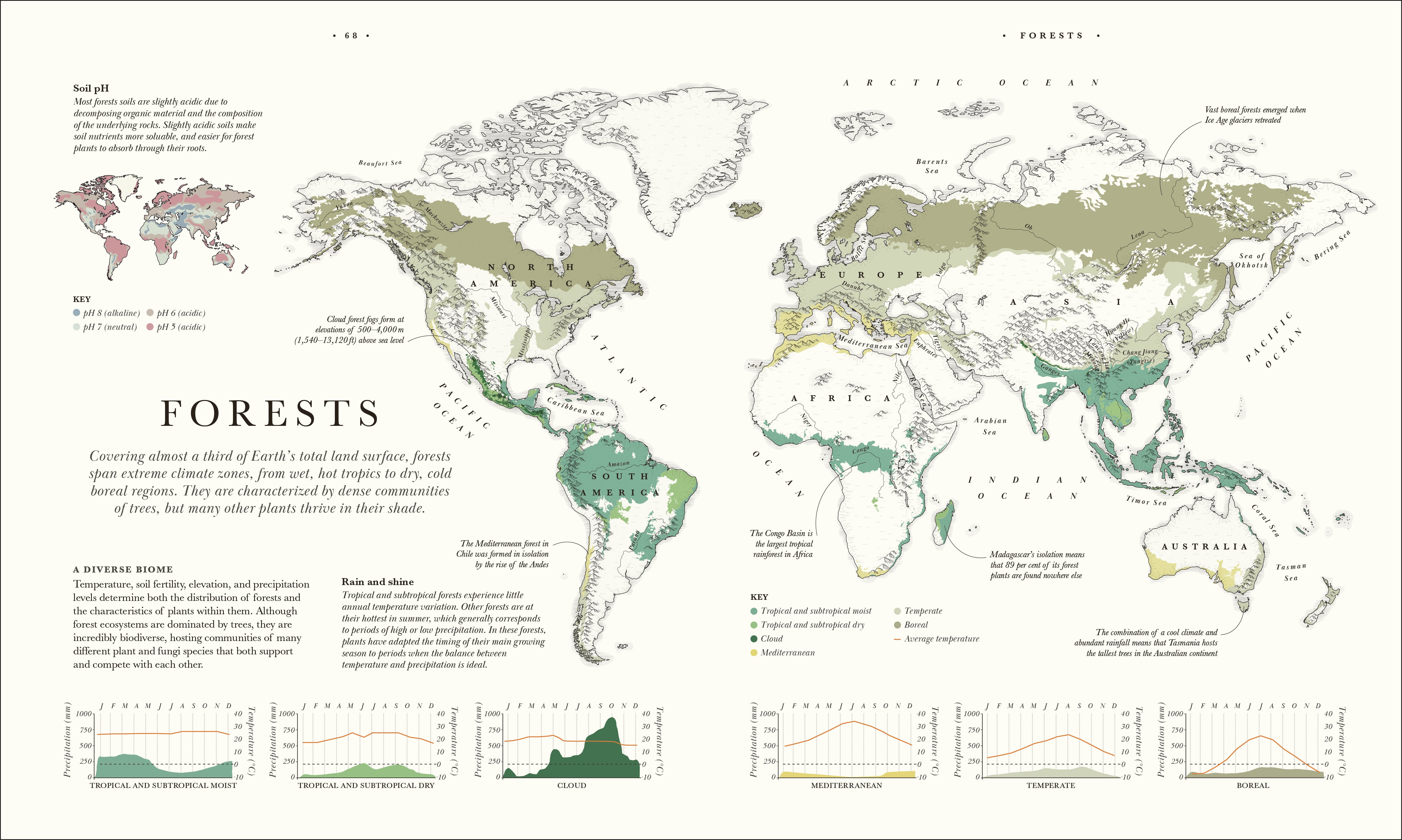 Atlas of Botany – DK