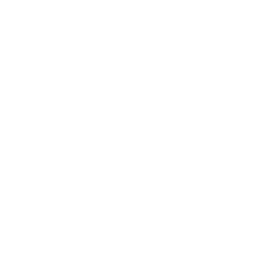 15th Anniversary 忍(SEC/サイン)(KMS/W133-033EX) | SEC | ドラゴン