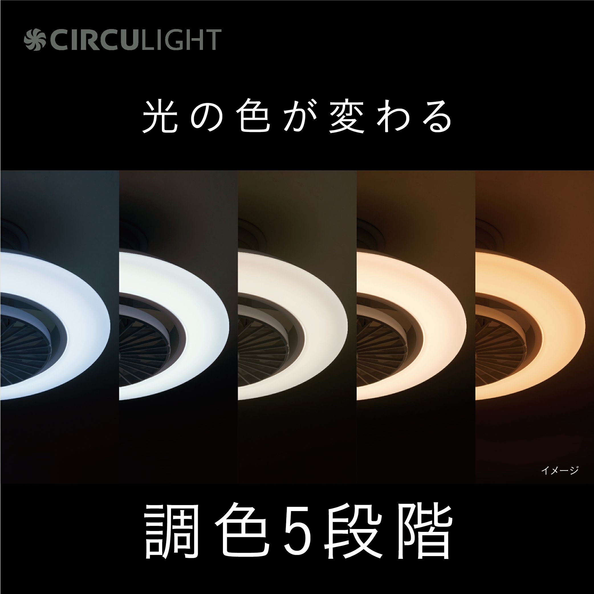 CIRCUITLIGHT サーキュレーター DCC-SW08EC 楽天市場】【2大特典付き