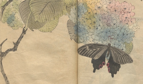 渡辺省亭の花鳥画譜 | NDLイメージバンク | 電子展示会