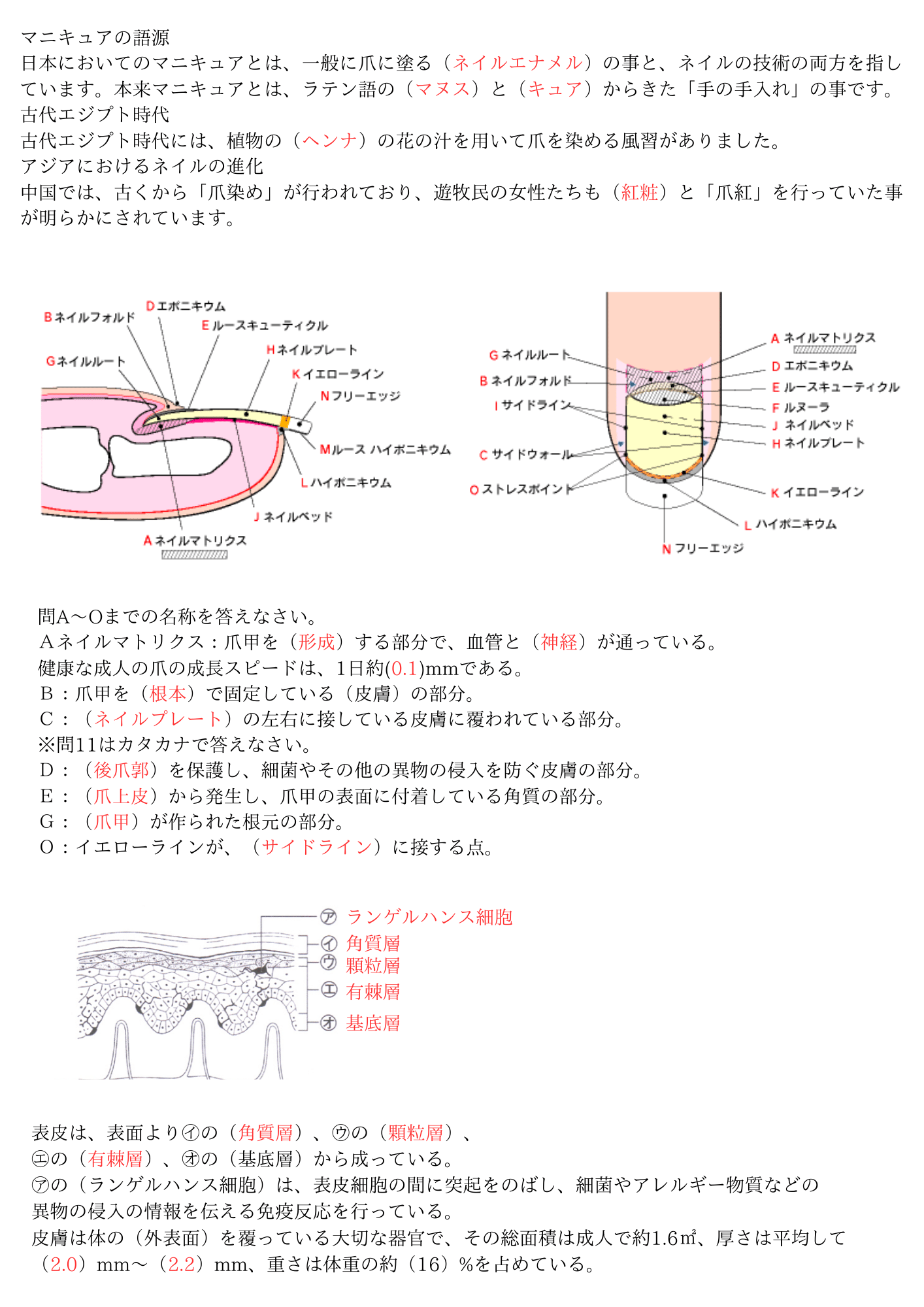 ジェルネイル中級筆記試験予想 - DMG StyLe