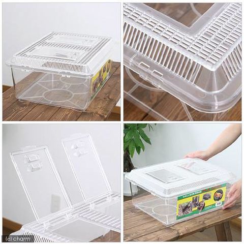 dショッピング |プラケース 飼育容器 特大フラット クリア（430