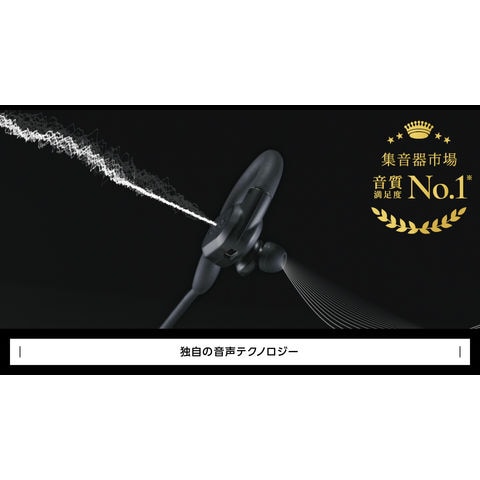 dショッピング |able aid (エイブルエイド) 超小型デジタル集音器